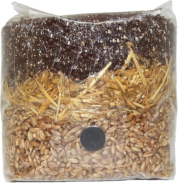 All in One Mushroom Grow Bag