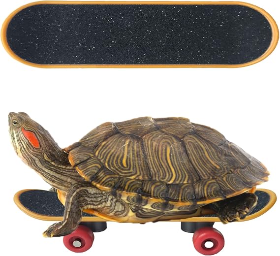 Turtle Skateboard Toys, Turtle Mini Training Skateboard Toy Tortoise Fast Skate Accessory Funny Pet Turtles Playing and Training Toy Parrot Reptile Skateboard Toys