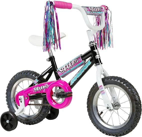 Dynacraft Magna Sapphire Bike - Sturdy Steel Frame, Front and Rear Hand Brakes, Adjustable Seat, Kickstand - Ideal for Ages 6-10, Perfect for Outdoor Riding