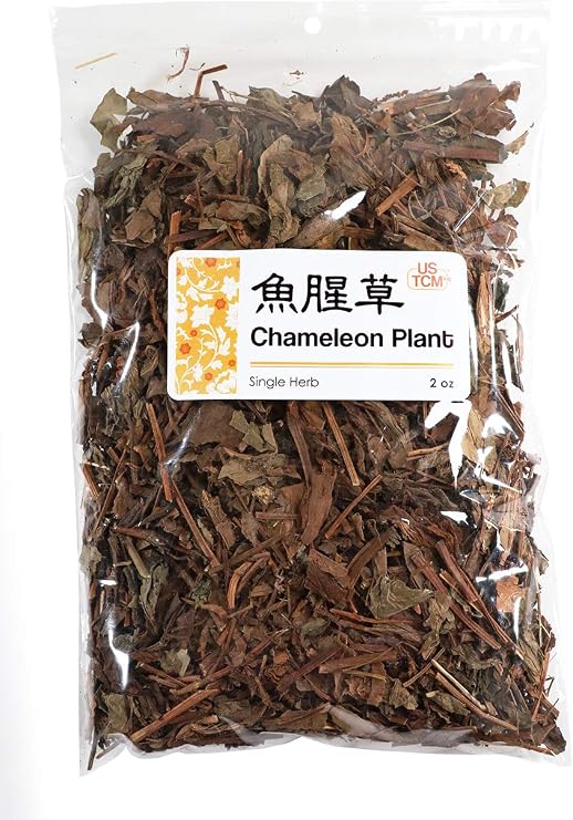 New Packaging Chameleon Plant Heartleaf Houttuynia Yu Xing Cao 2 oz
