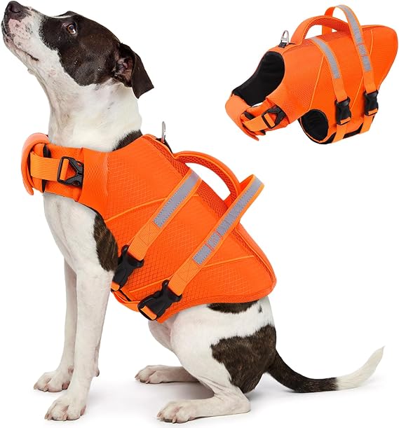 Queenmore Puppy Life Jacket Adjustable &Reflective Dog Life Vest For Swimming Lightweight Buoyancy Aid for small dogs Chihuahua,Yorkshire,Maltese,poodle (Orange, XS)