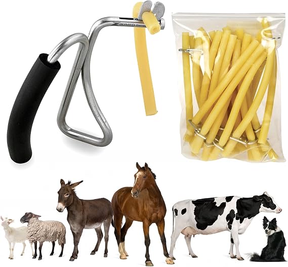 California Bloodless Castration Stainless Steel Bander & Bands (25 pk) for Livestock Veterinary & All Animals Easy to Use.