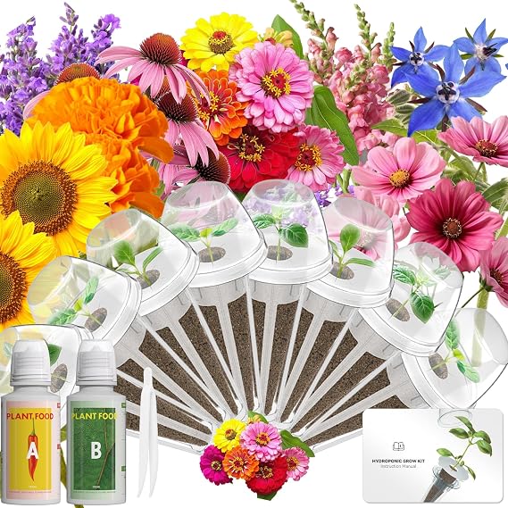 LYKOCLEAN Herb Seed Pod Kit Compatible with AeroGarden Hydroponics Growing System, Complete Indoor Gardening Supply (Vibrant Flower, 8-pods)