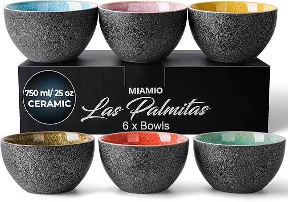MIAMIO 25 Oz, Bowls Set of 6, Ceramic Bowl, Salad bowls, Soup Bowl, Cereal Bowl, Kitchen Bowls, Rice Bowls Microwave and Dishwasher safe Las Palmitas Collection