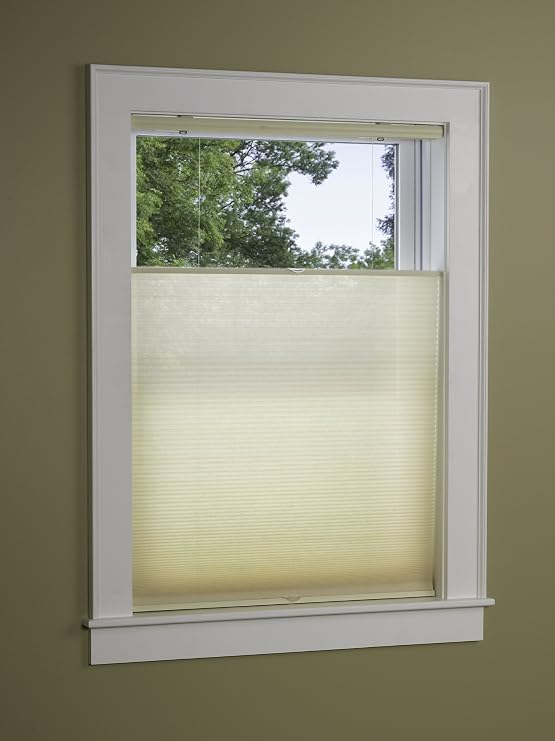 EZ-Glide Top Down Bottom Up Cordless Cellular Shade - Size: 25x64 Color: Natural