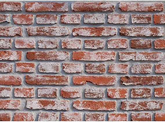 Faux Brick Panels 3D Wall Paneling for Interior Exterior DIY Artificial Wall (32 Square Feet/Box, Red with Wash White)