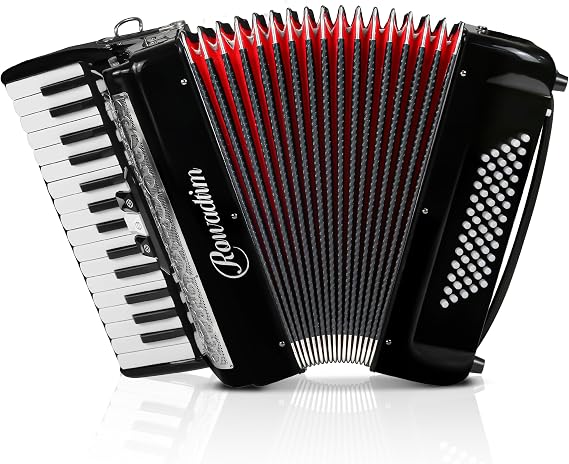 Accordions 30 Key 60 Bass Adult Practice Performance Keyboard(black)