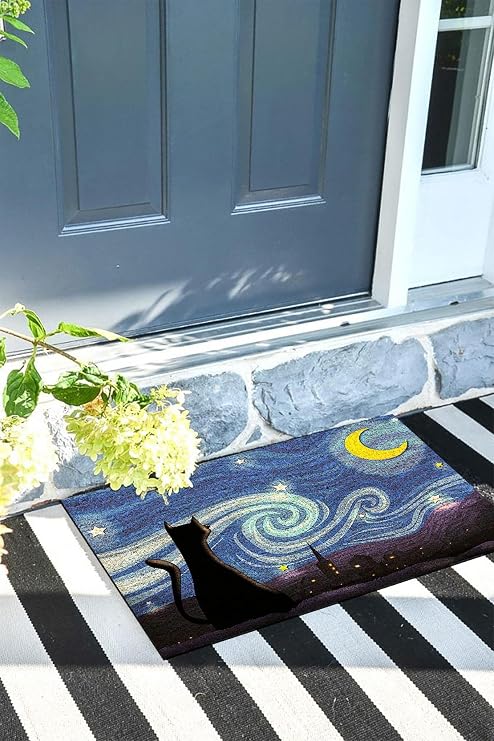 Monnhein Kapı Önü Paspası Dekoratif Kapı Paspası Dış Mekân Paspas Ev İçi Paspası 45x70cm