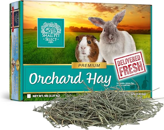 Small Pet Select Orchard Grass Hay Pet Food for Rabbits, Guinea Pigs, Chinchillas and Other Small Animals, Premium Natural Hay Grown in The US, 5lb (2.27kg) | Premium Natural Grass Hay, Grown in USA, Soft High Fiber Forage, For Chinchillas, Bunnies, Hamsters & Small Pets