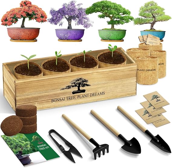 LUOJIBIE Bonsai Tree Kit, Bonsai Tree Starter Growing Kit | Unique Birthday Gifts for Women Men Teenage Girls Boys Mom Dad, Anniversary House Warming Gifts New Home, Crafts Hobby Kits