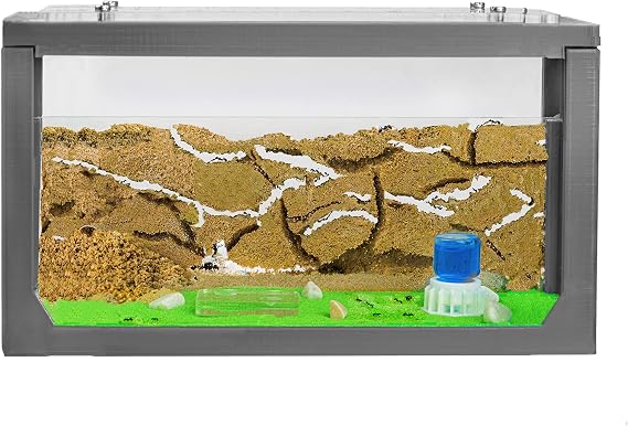- 3D Aquarium-Style Natural Ant Farm - Sand Ant Farm - Complete Kit with Sand and Accessories - Starter Model 20x10x10 cm - Grey Color