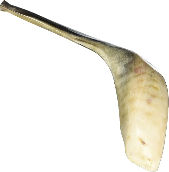 New 14" Rams Kudu Horn Shofar Authentic Polished Israel