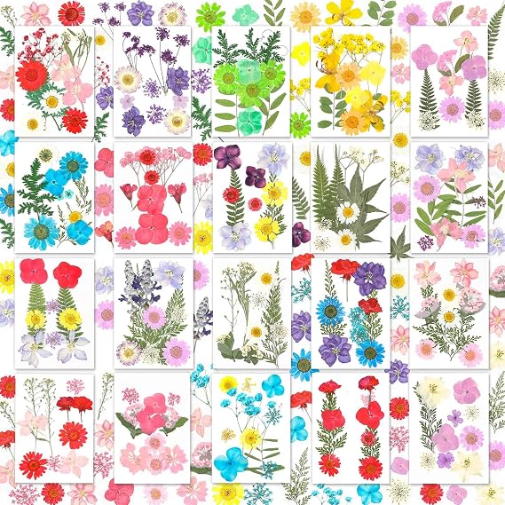 Evatage 200 Pcs Small Dried Pressed Flowers for Resin Crafts