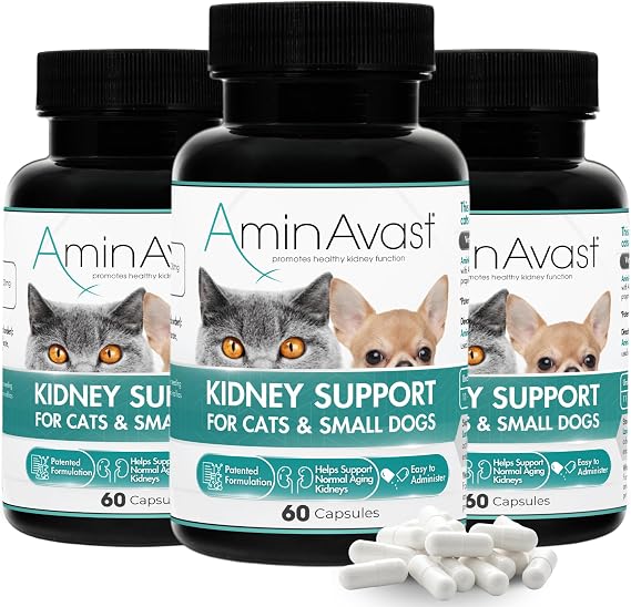 AminAvast Kidney Support for Cats & Small Dogs, 300 mg, 3-Pack, 60 Capsules | Mix With Food; Give Twice Daily; Hydration Support; No Artificial Flavors; for Cats & Small Dogs Up to 20 lbs; Not Large Dogs