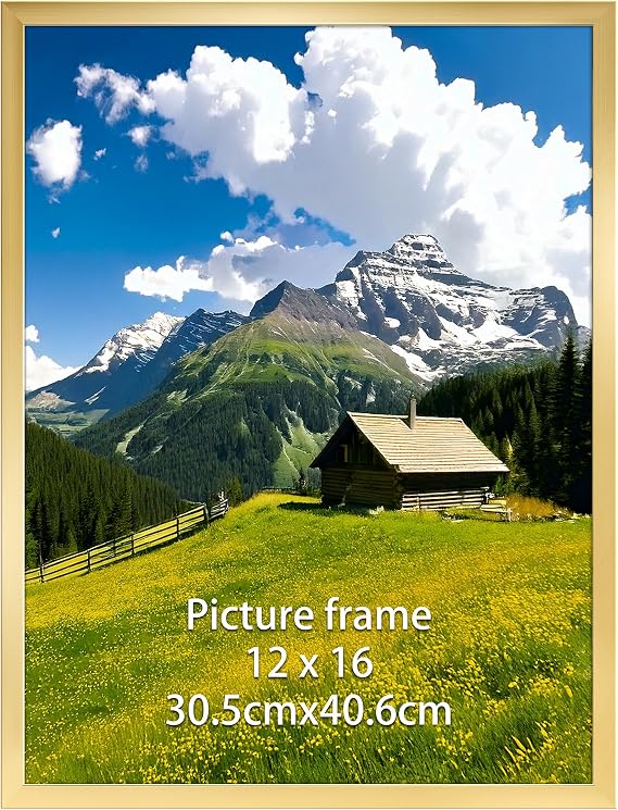 30x40 Picture Frame Gold, 16x12 inch Poster Frame for Horizontal or Vertical Wall Display in Living Room, Office, Gallery