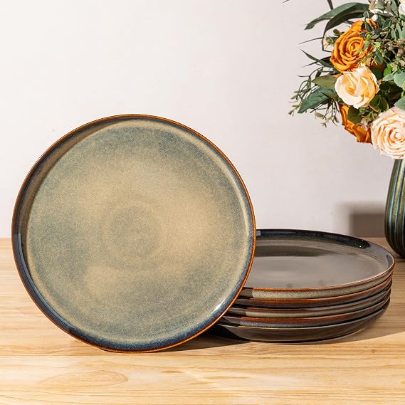 theterra Ceramic Dinner Plates Set of 6, 10.5 Inch Dinnerware Plates