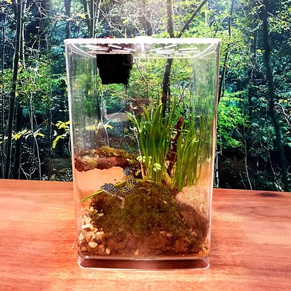 Acrylic Reptile Cage with LED Light, Multiple Ventilation Holes Upper Flip Cover Reptile Cage Snake Enclosure for Spiders,Horned Frogs, Geckos, Snakes