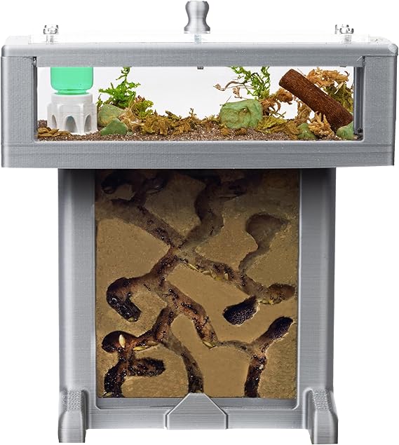 - 3D T-Shaped Foam Ant Nest Kit - Sandwich (14x8x14cm) and Foraging Box, with Removable Lid - Grey