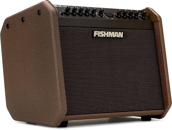 Fishman Acoustic Guitar Amplifier (PRO-LBC-500)