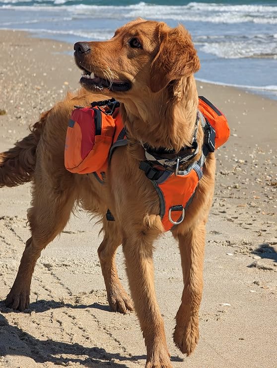 Multi-Purpose Dog Backpack Life Jacket (Size Medium)