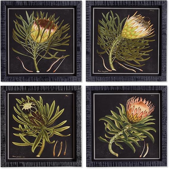 Napa Home & Garden Dramatic Protea Petite Prints Set of 4: Elegant Floral Wall Art with Black Background fir Wood Glass & MDF. Black/Yellow