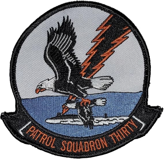 VP-30 Pro's Nest Squadron Patch Plastic Backing/Sew On, 4"